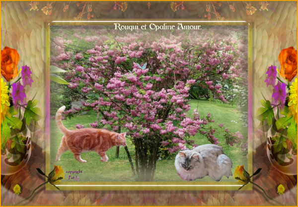 Les chats amis. Petit couple virtuel chats 17.