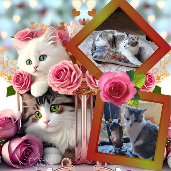 Merci beaucoup à Magalie pour ce joli montage.